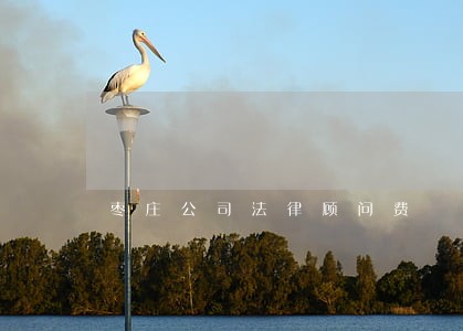 枣庄公司法律顾问费 枣庄公司法律顾问费