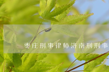 枣庄刑事律师济南刑刑事