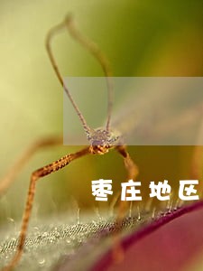枣庄地区刑事案律师哪里找 枣庄地区刑事案律师哪里找