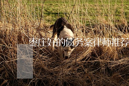 枣庄好的债务案律师推荐