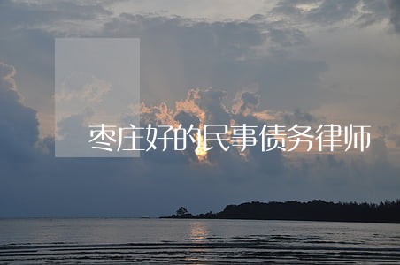 枣庄好的民事债务律师