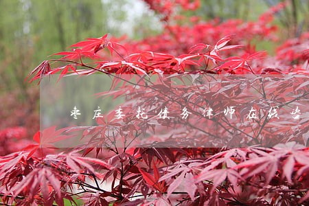 枣庄委托债务律师在线咨询 枣庄委托债务律师在线咨询