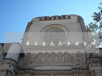 枣庄委托民事债务律师排行 枣庄委托民事债务律师排行
