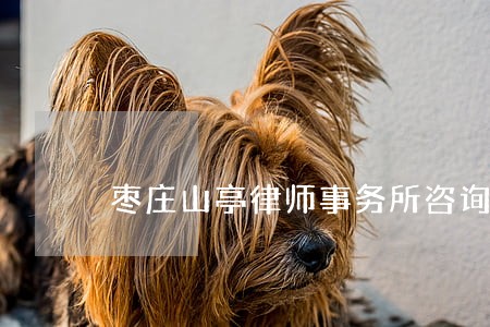 枣庄山亭律师事务所咨询 枣庄山亭律师事务所咨询