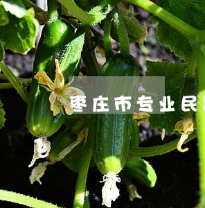 枣庄市专业民事债务律师免费咨询