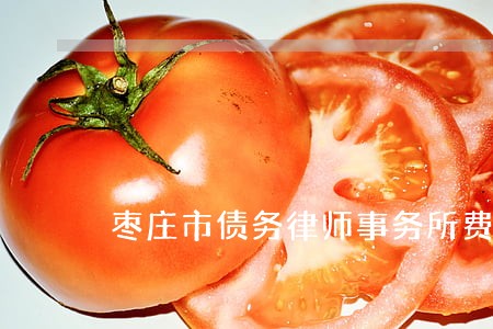 枣庄市债务律师事务所费用标准 枣庄市债务律师事务所费用标准