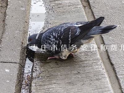 枣庄市债务案律师费用标准 枣庄市债务案律师费用标准