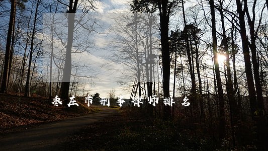 枣庄市刑事律师排名 枣庄市刑事律师排名