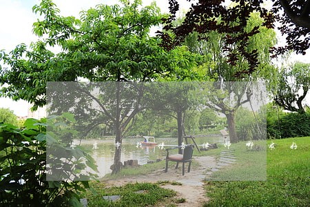 枣庄市找债务律师哪家好