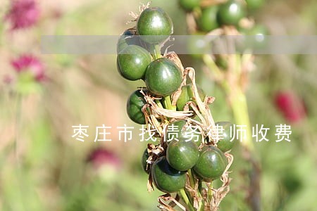 枣庄市找债务律师收费 枣庄市找债务律师收费