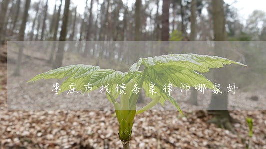 枣庄市找债务案律师哪家好 枣庄市找债务案律师哪家好