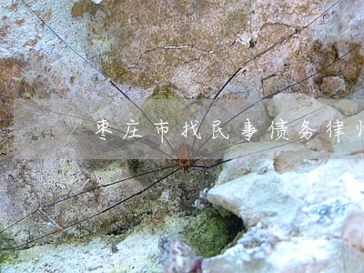 枣庄市找民事债务律师推荐 枣庄市找民事债务律师推荐