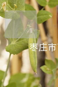枣庄市离婚律师有哪些 枣庄市离婚律师有哪些
