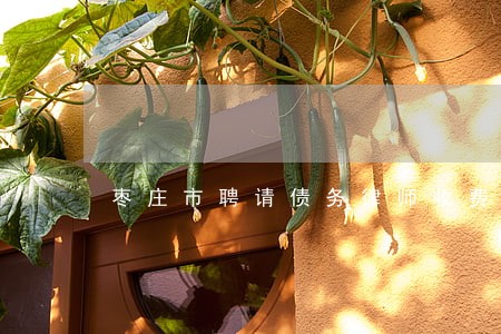 枣庄市聘请债务律师收费 枣庄市聘请债务律师收费