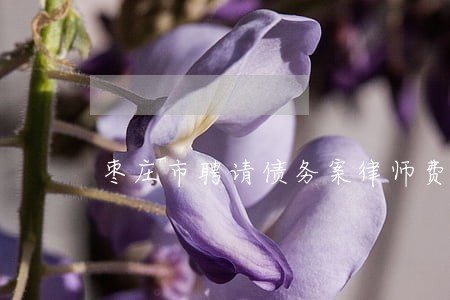 枣庄市聘请债务案律师费用标准 枣庄市聘请债务案律师费用标准