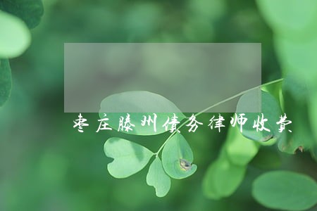 枣庄滕州债务律师收费 枣庄滕州债务律师收费
