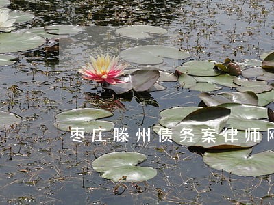 枣庄滕州债务案律师网 枣庄滕州债务案律师网