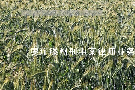 枣庄滕州刑事案律师业务
