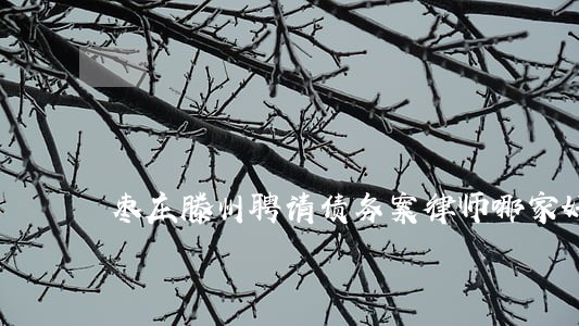 枣庄滕州聘请债务案律师哪家好 枣庄滕州聘请债务案律师哪家好