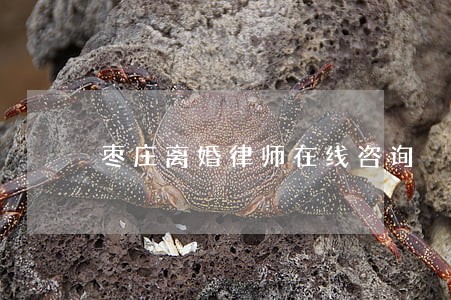 枣庄离婚律师在线咨询 枣庄离婚律师在线咨询