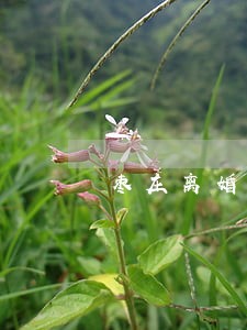 枣庄离婚律师怎么收费 枣庄离婚律师怎么收费