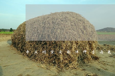 枣庄网贷逾期律师咨询免费 枣庄网贷逾期律师咨询免费