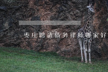 枣庄聘请债务律师哪家好 枣庄聘请债务律师哪家好