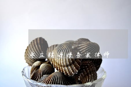 枣庄聘请债务案律师