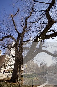 枣庄著名的律师岳保国 枣庄著名的律师岳保国