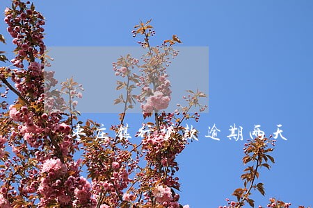 枣庄银行贷款逾期两天 枣庄银行贷款逾期两天