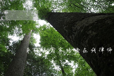 枣强县国家赔偿在线律师咨询 枣强县国家赔偿在线律师咨询