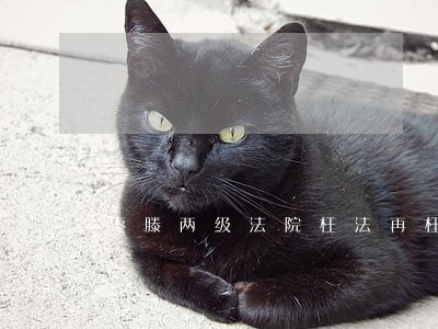 枣滕两级法院枉法再枉法 枣滕两级法院枉法再枉法