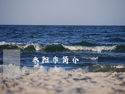枣阳市简介