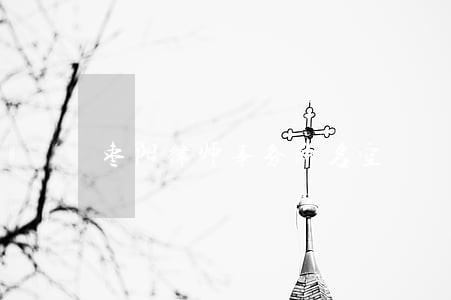 枣阳律师事务所名空 枣阳律师事务所名空