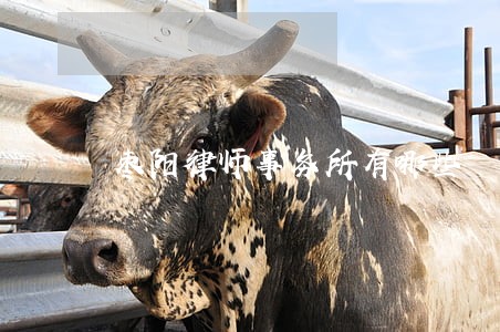 枣阳律师事务所有哪些 枣阳律师事务所有哪些