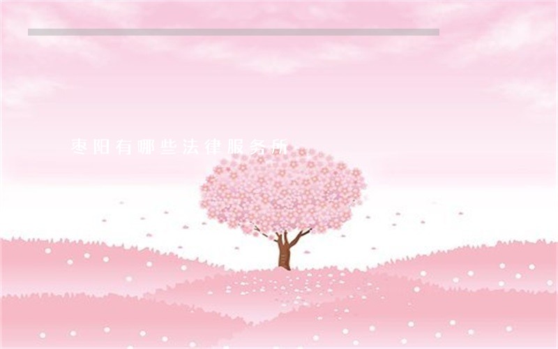 枣阳有哪些法律服务所