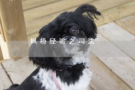 枫桥经验之司法
