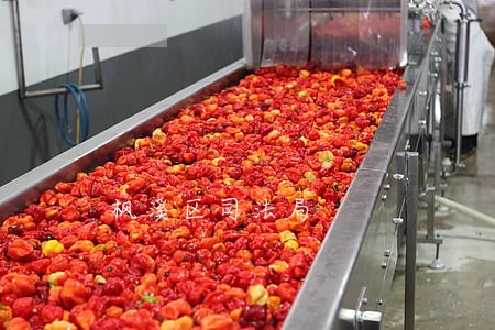 枫溪区司法局 枫溪区司法局