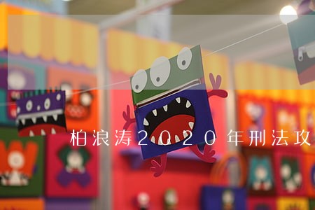 柏浪涛2020年刑法攻略精讲 柏浪涛2020年刑法攻略精讲