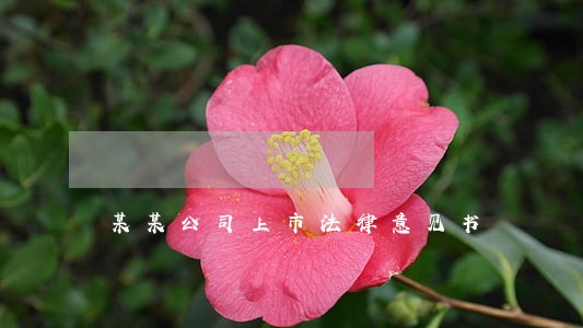 某某公司上市法律意见书 某某公司上市法律意见书