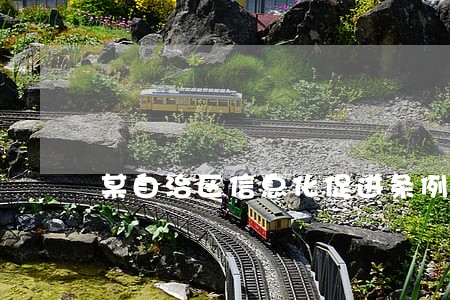 某自治区信息化促进条例 某自治区信息化促进条例