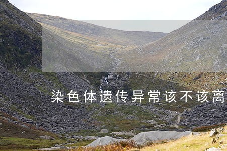 染色体遗传异常该不该离婚 染色体遗传异常该不该离婚