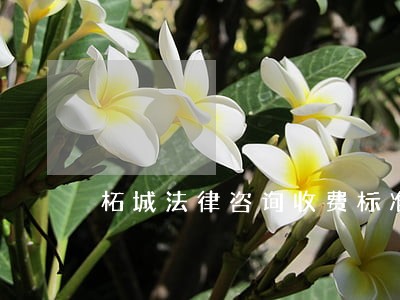 柘城法律咨询收费标准 柘城法律咨询收费标准