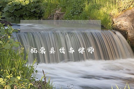 柘荣县债务律师 柘荣县债务律师
