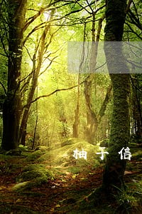 柚子信用app逾期了 柚子信用app逾期了
