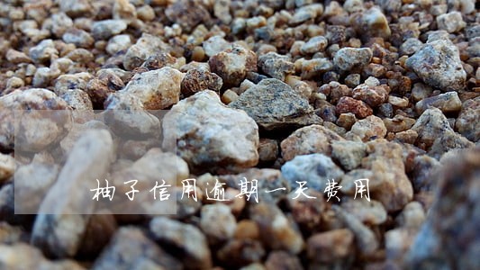柚子信用逾期一天费用