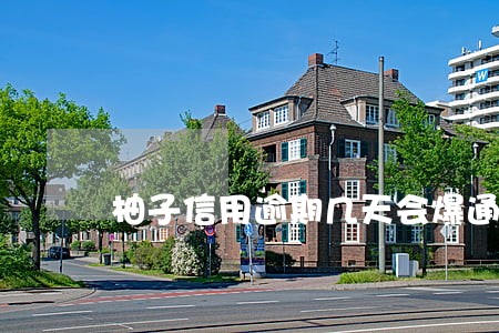 柚子信用逾期几天会爆通讯录 柚子信用逾期几天会爆通讯录