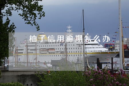 柚子信用逾期怎么办 柚子信用逾期怎么办