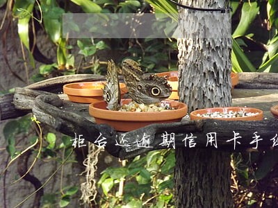 柜台还逾期信用卡手续费多少 柜台还逾期信用卡手续费多少