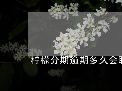 柠檬分期逾期多久会联系家人 柠檬分期逾期多久会联系家人